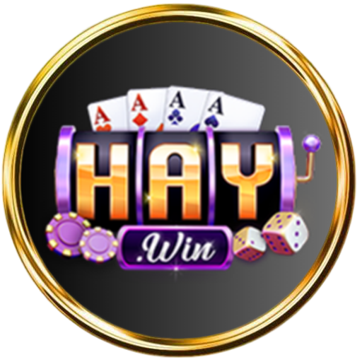 haywin top top - 14